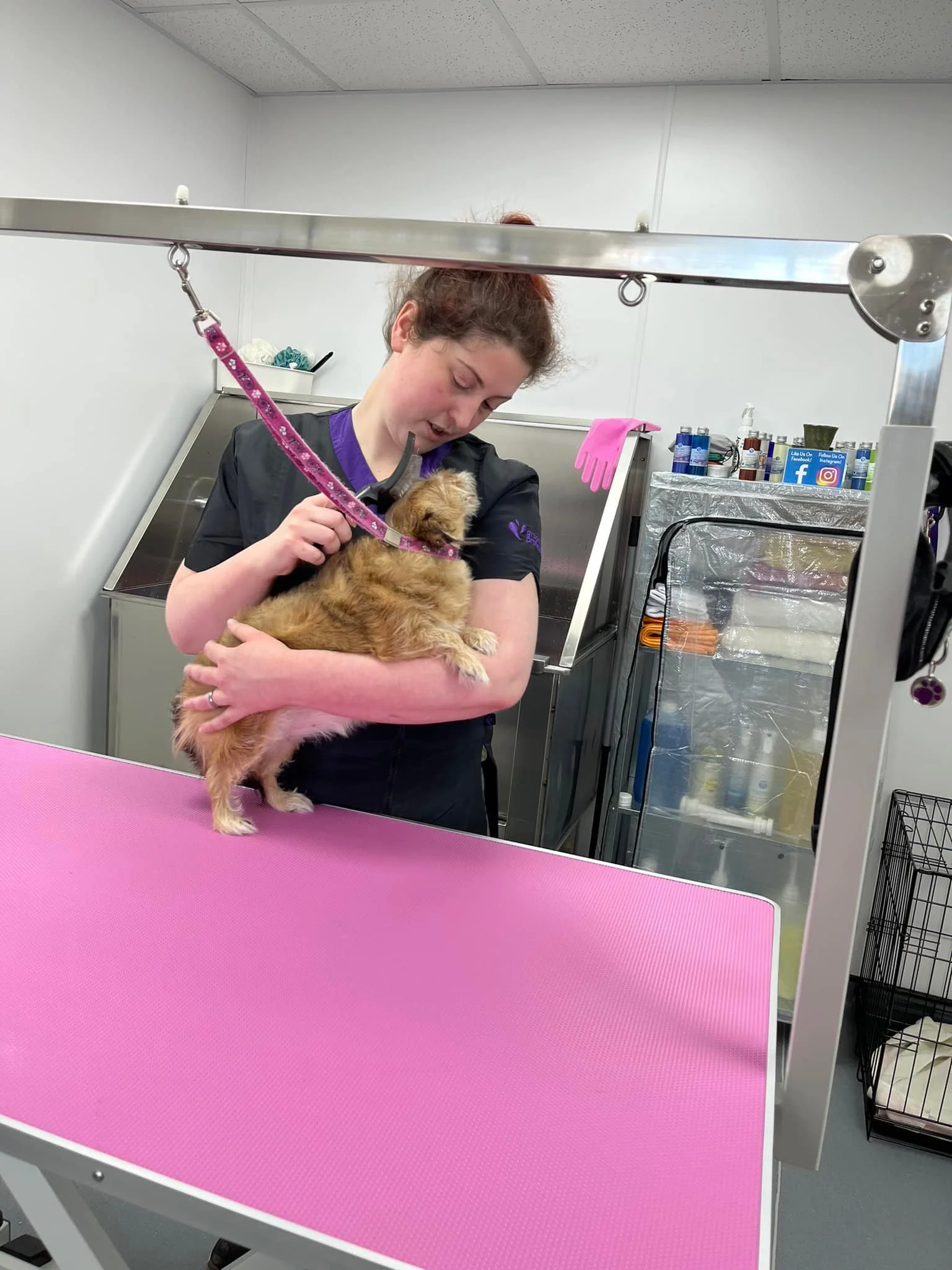 Amy, our groomer