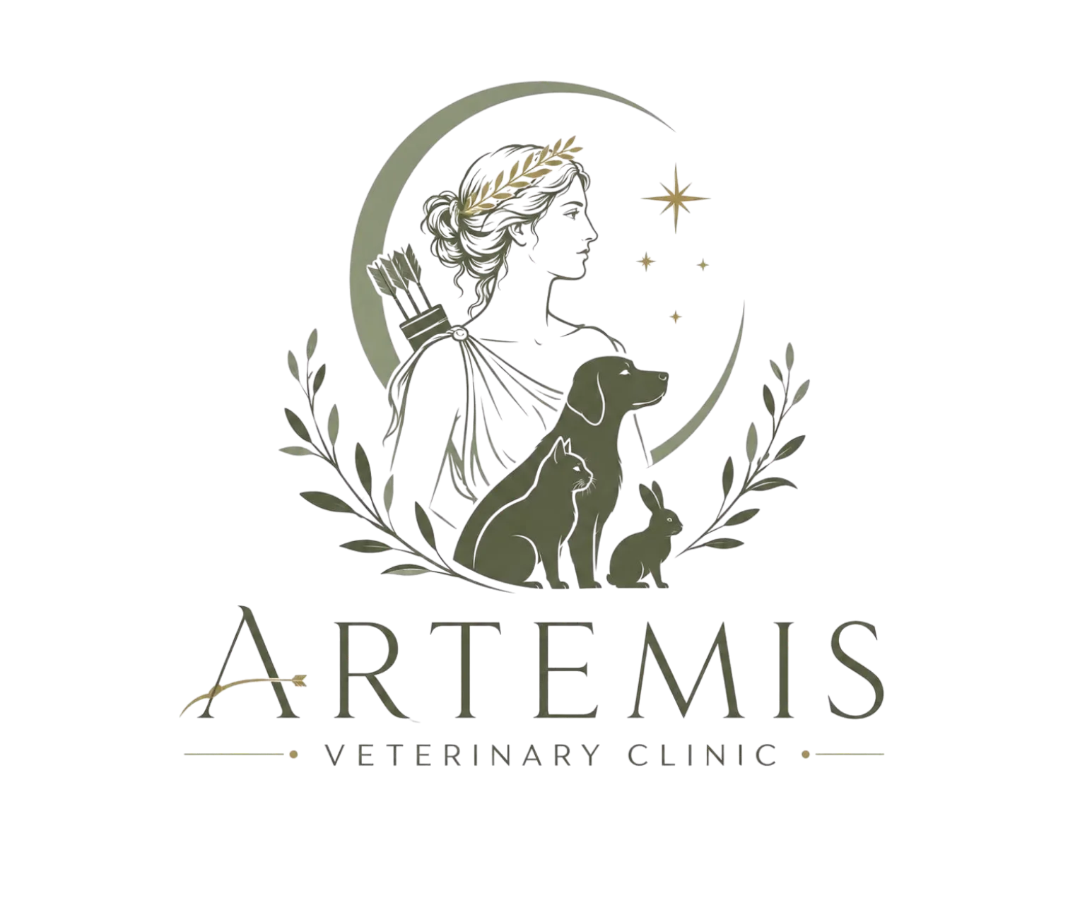 Artemis Veterinary Clinic
